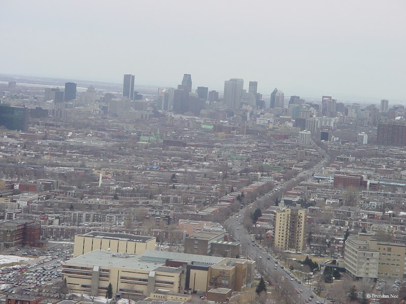 Montreal Skyline - Montreal 3-04 342